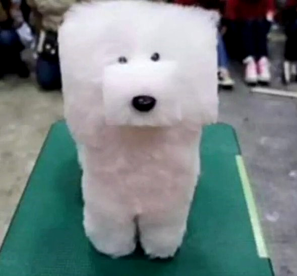 대마초가 몸에 해롭다는것을 알려봄 | 인스티즈